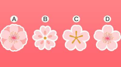 Выберите один из цветков и узнайте, чего вам стоит ожидать в ближайшее время