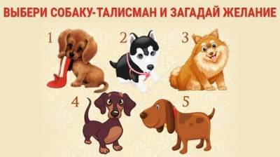 Узнайте, почему вам завидуют! Просто выберите картинку и получите точный ответ