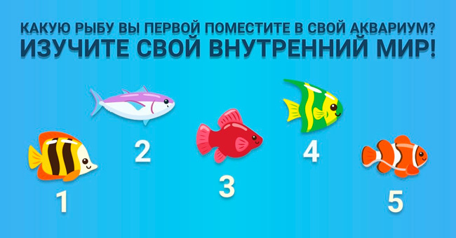 Короткий тест: Какую вы выбрали рыбку?