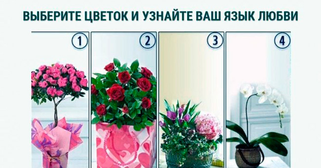 Короткий тест: Выберите цветочную композицию, которую могли бы с любовью подарить своей второй половинке