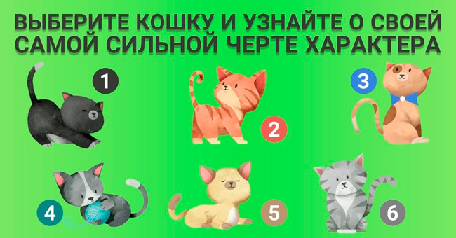 Короткий тест: Под каким номером вы выбрали кошечку?