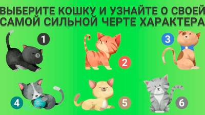 Психологический тест: самая сильная черта характера