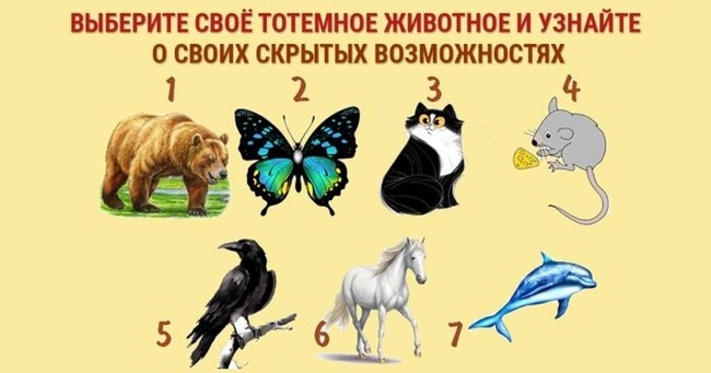 Короткий тест: Выберите своё тотемное животное
