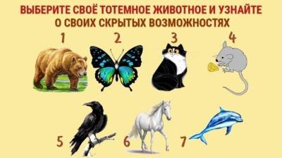 Выберите своё тотемное животное и узнайте о своих скрытых возможностях