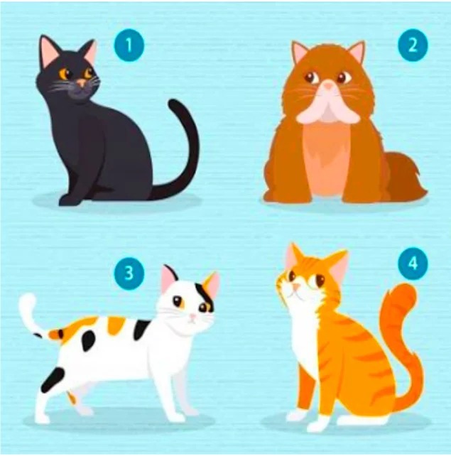 Короткий тест: Выберите одного из четырёх котов