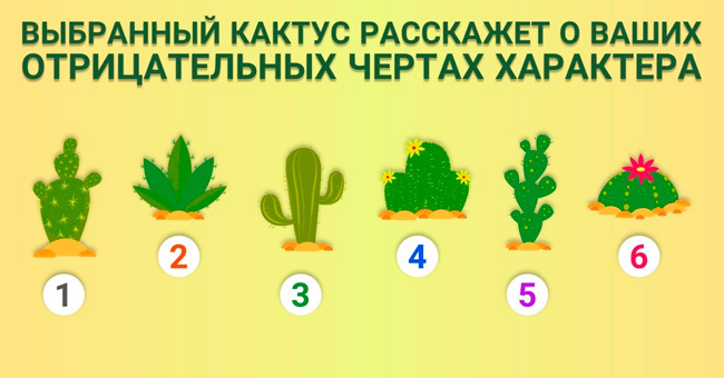 Короткий тест: Дайте ответ не задумываясь, под каким номером вы выбрали кактус?