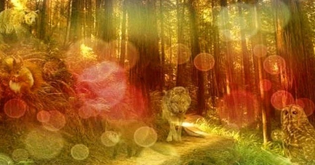 Короткий тест: Какое животное вы увидели первым?